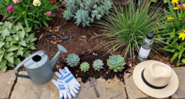 9 Creative Landscape-Designer Tricks For Drought-Tolerant Gardens That Cut Watering Time, Not Style