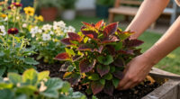 Every Garden Needs One Plant That Makes A Border Look Expensive – These 6 Add Wow Factor With Almost No Effort