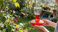 Feeding Hummingbirds This Fall? These 5 Sweet Spot Secrets Help You To Keep Your Hummers Safe And Happy