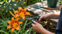 How To Get A Second Flush Of Flowers From Your Daylilies – Plus, This Easy Trick Keeps Plants Looking Fresh