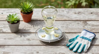 How To Hand-Feed Hummingbirds – 6 Critical Secrets To Enjoy This Heartwarming Garden Experience