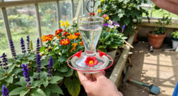 I Love The Idea Of Creating A Stop-And-Fuel Garden For Hummingbirds This August – You Only Need 3 Things