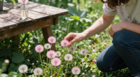 I Used To Hate Dandelions – Until I Discovered The Pretty Pink Version Designers Love