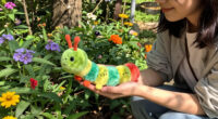 Meet Your Birth Month Caterpillar – And The Beautiful Meaning Behind Each One