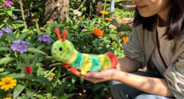 Meet Your Birth Month Caterpillar – And The Beautiful Meaning Behind Each One