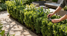 Move Over Boxwood! Kevin Bacon's Drought-Tolerant Privacy Scheme Is A Smarter Way To Screen Your Yard