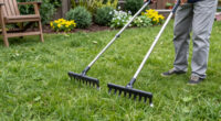 Scarifier Vs Dethatcher: Experts Explain The Difference And Which One You Should Use On Your Lawn