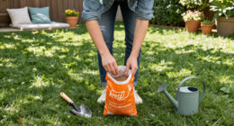 The Lawn Repair Buys To Order Now To Help Your Frazzled Grass Recover – Before Everyone Starts Fixing Their Grass In Fall