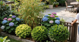 These 8 Gorgeous Fast-Growing Privacy Plants Create A Sanctuary Of Color, Texture And Fragrance Before Fall