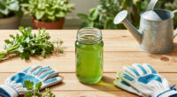This Natural Tonic Will Revive Every Tired Garden In August, So I Don’t Know Why It’s Such A Well-Kept Secret