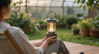 Transform Your Lifestyle: Top 5 Backyard Trends To Watch In 2026