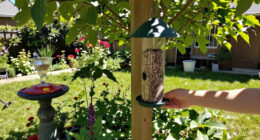 Turn Your Yard Into A Migrating Bird's Favorite Pit Stop – Add These 4 Elements To Your Garden To Help Them On Their Journey