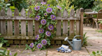 Why I Let My Passionflower Take Over My Fence (And It's Not Just Because It Looks So Good)