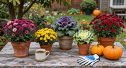 6 Fall Container Garden Ideas That Look Gorgeous Until The First Frost Of Winter