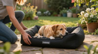 7 Best Infrared PEMF Dog Beds in 2026
