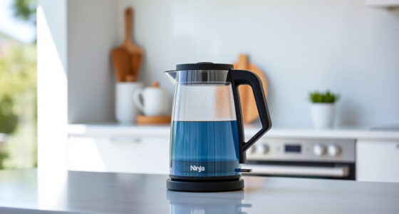 Beat the Heat with Ninja KT200BL Precision Temp Kettle