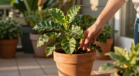 Every Houseplant Collection Needs One Plant That Thrives On Neglect – Here Are 3 Of The Best