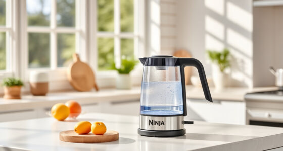 Keep Your Ninja KT200BL Kettle Sparkling & Working All Summer