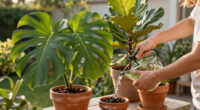 Must-Have Plants That Will Be Twice The Price Come Spring – Add Them To Your Yard Now And Save Yourself A Fortune