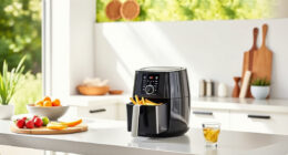 Summer Tips & Hacks for the Ninja Air Fryer 4 Qt — Perfect for Outdoor Living