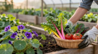 These 6 Edible Plants Are Almost Too Pretty For The Vegetable Garden – Add Them To Your Fall Borders Instead