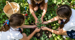 Three Schoolgirls In Kinsale Pulled Up A Pea Plant Covered In Warts (2016)