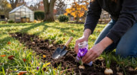 Want A Lawn Full Of Crocuses Next Spring? Pros Share Their Fall Planting Tips (And Mistakes To Avoid) For A Dreamy Carpet Of Color