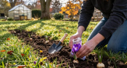 Want A Lawn Full Of Crocuses Next Spring? Pros Share Their Fall Planting Tips (And Mistakes To Avoid) For A Dreamy Carpet Of Color