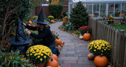 12 Best Outdoor Halloween Witch Decorations for Spooky Yard Displays in 2027
