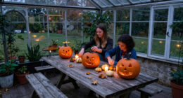 15 Best Halloween Picks for Parties, Decorating, and Movie Nights in 2027
