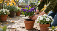 4 Autumn-flowering Shrubs To Plant In Pots Now For Abundant Blooms And Fragrance