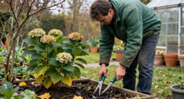 6 Plants You Should Never Prune In October – Experts Say They’ll Do Better If You Leave Them Alone