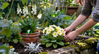 9 Clever Landscape-Designer Tricks To Brighten A Shady, North-Facing Garden That You Can DIY Yourself