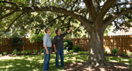 Don't Cut Down That Tree Yet – It Could Be Legally Protected, Even If It's On Your Own Property