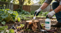 How To Get Rid Of Tree Of Heaven Without Making The Problem Worse