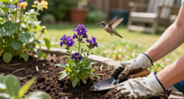 Hummingbirds Love These Purple Fall Flowers – Plant Them Now For More Backyard Visitors