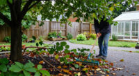 My Garden Is Littered With Leaves And Branches From My Neighbour's Tree After Storm Boelo – I Asked Legal Experts Whose Responsibility It Is To Clear It Up