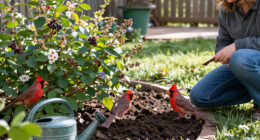 The 3 Best Plants To Add To Your Garden If You Want More Cardinals This Season