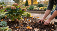 The 4 Types Of Plants You Should Mulch In October – And The Ones That Don't Need It