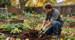 The Best Time To Move These 6 Backyard Plants Is Fall – To Make Sure They Get A Better Start Next Year