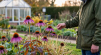 The Flower Gardeners Never Deadhead In October – Leave It For Wildlife, Fall Color And Winter Beauty