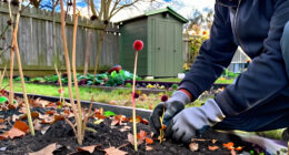 These 7 Plants Might Look Messy In October, But Resist Cutting Back Until Spring And Your Backyard Will Thank You