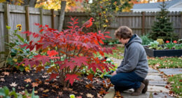 This Underrated Native Shrub Rivals Burning Bush For Fall Color – And Cardinals Love Its Berries!