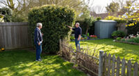 Who Really Owns The Tree Or Hedge Between Your House And Your Neighbour's?